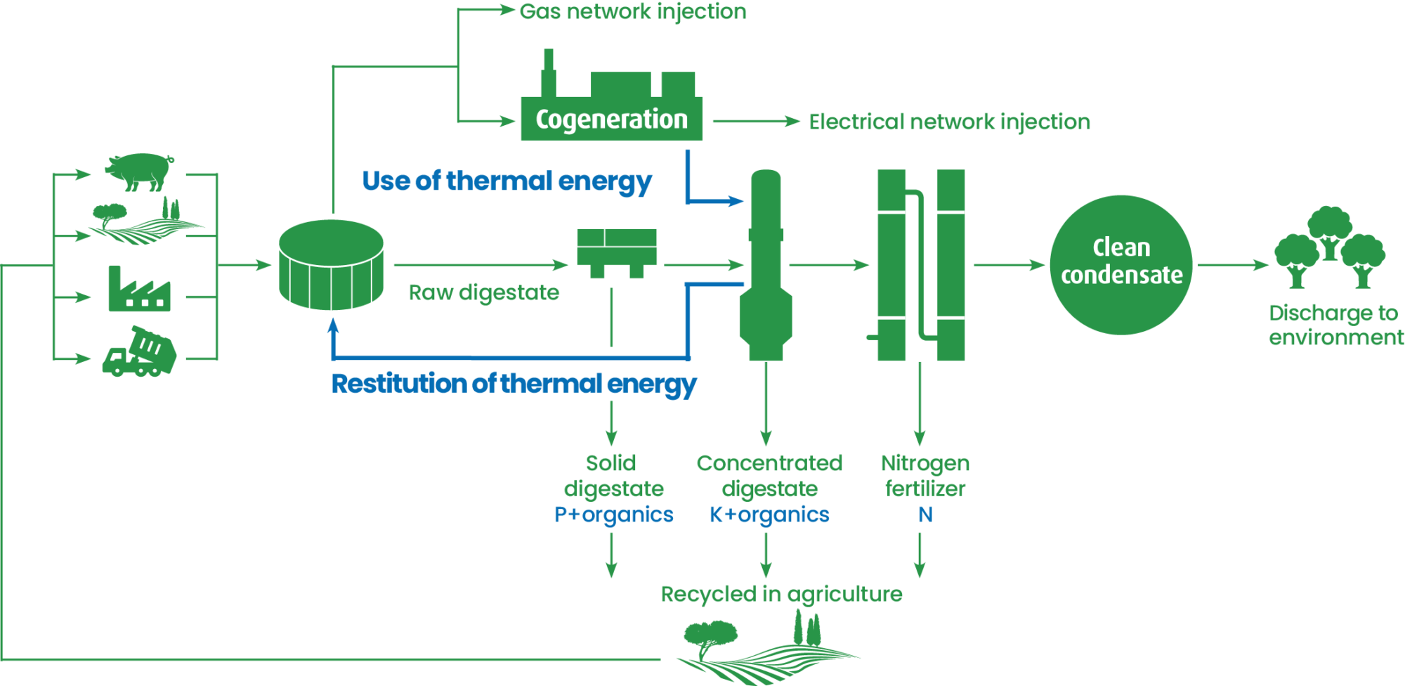 Digestate recovery scheme