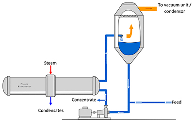 Forced circulation evaporator